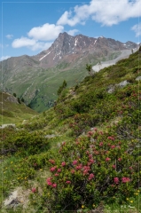 Alpen_2021_388