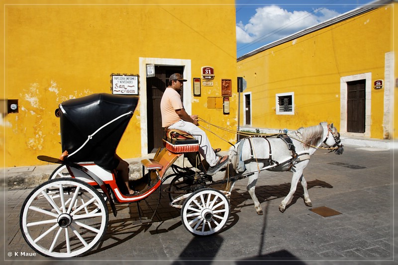 Mex2013_068.jpg