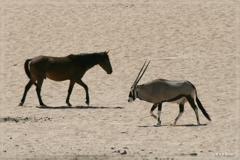 namibia_2010_042.jpg