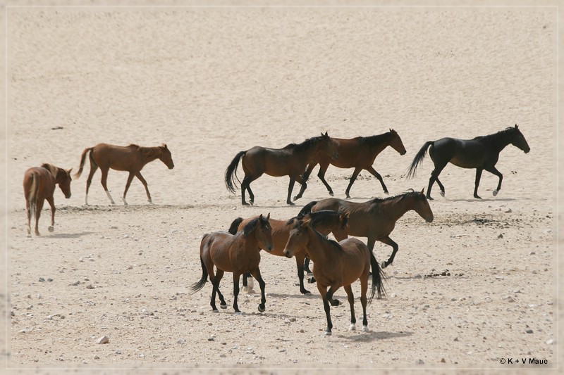 namibia_2010_073.jpg