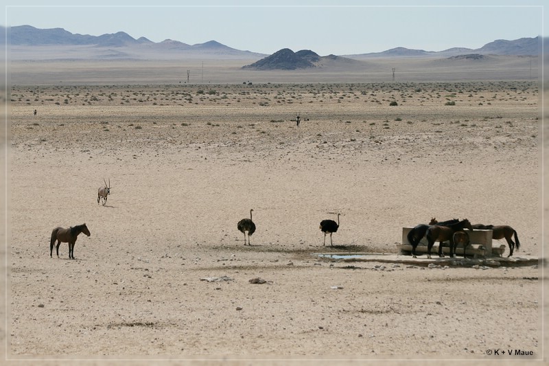 namibia_2010_075.jpg