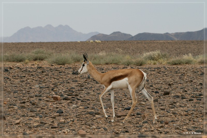 namibia_2010_112.jpg