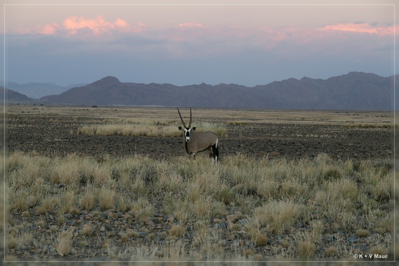 namibia_2010_145.jpg