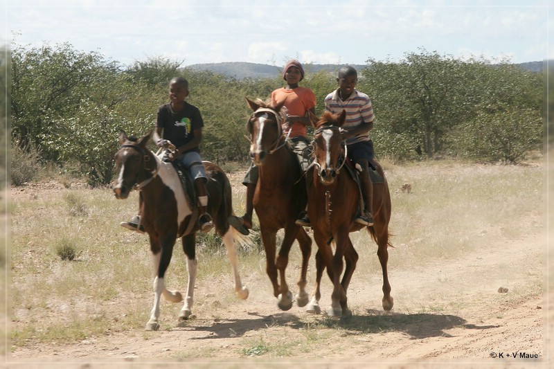 namibia_2010_326.jpg