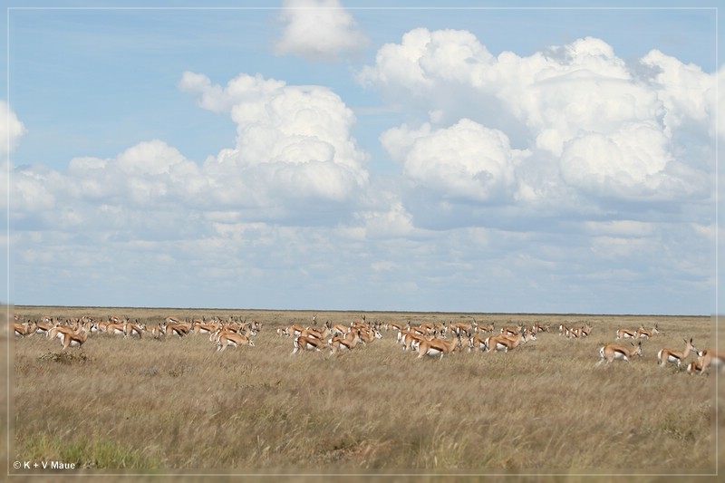 namibia_2010_363.jpg