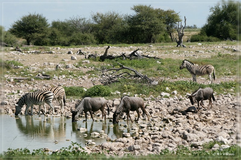 namibia_2010_395.jpg