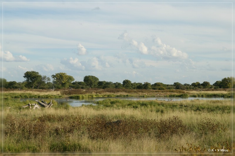 namibia_2010_435.jpg