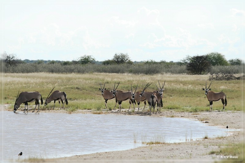 namibia_2010_518.jpg