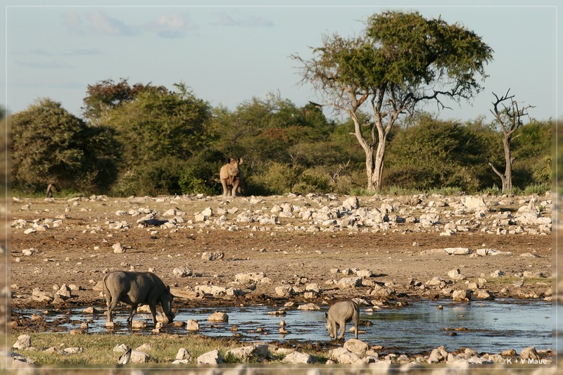namibia_2010_523.jpg