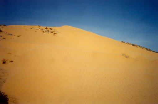 Sand dunes
