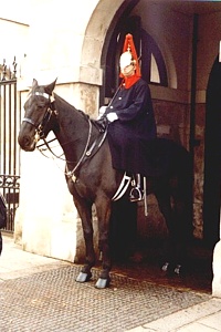 Horse Guard